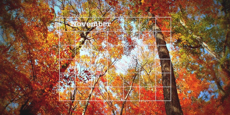 Top Gigs in November! | Bandwagon | Music media championing and